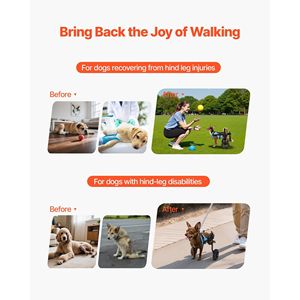 Carrozzina Manuale Leggera per Cani con 2 Ruote Regolabili e Ammortizzatori per Supporto della Mobilità e delle Zampe Posteriori - Product Image 2