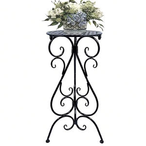 Support de plante en fer au design moderne alliant robustesse, utilité et esthétique pour l'organisation des plantes - Product Image 1