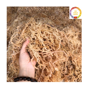 Musgo Marino al por Mayor |   Eucheuma Cottonii Seca |   Orgánico Silvestre |   Precio de Fábrica para Proveedores al por Mayor - Product Image 1