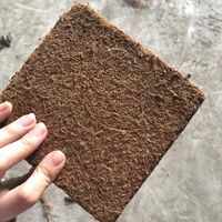 Favori des clients : Tourbe de coco pour la germination des graines et l'amélioration du substrat de potage – Qualité supérieure 2026
