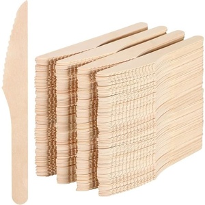 Nouveau Couteau Jetable 155mm en Bois de Bouleau Durable pour Glaces, Desserts, Gâteaux et Événements, Mariages, Fêtes et Traiteur - Product Image 1