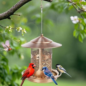 Comedero para Pájaros de Metal Rústico Colgante con Diseño de Libélula, Comedero para Pájaros Silvestres para Exteriores, Decorativo para Jardín, Patio o Terraza - Product Image 5