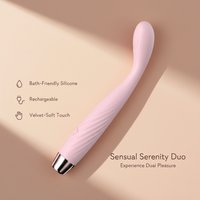 Groothandel Pen Vormige G-Spot Vibrator voor Vrouwen Masturbator Massager 10 Frequenties USB Oplaadbaar 50dB 100% Waterdicht Stil