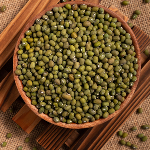 Haricots Mungo Entiers Séchés en Gros – Qualité Pure à 100 %, Nettoyés et Triés pour Importateurs et Acheteurs d'Ingrédients Alimentaires - Product Image 5