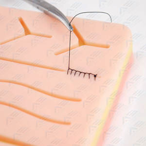 Kit de sutura para estudiantes de medicina de acero inoxidable, instrumentos de entrenamiento de Cirugía de anatomía, instrumentos médicos de alta calidad - Product Image 6