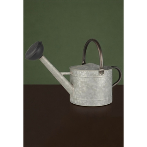 Regadera de metal galvanizado vintage para plantas de interior y exterior, con boquilla pulverizadora extraíble para jardinería. - Product Image 3