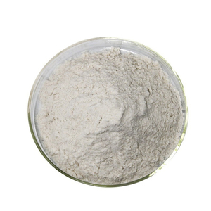Poudre d'acide shikimique de qualité supérieure pour la synthèse industrielle - Product Image 1