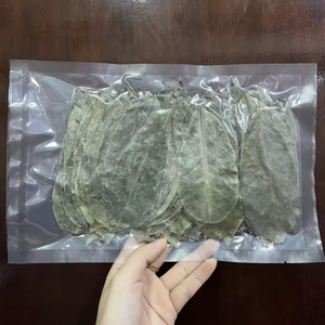 Dried Soursop Leaves (Graviola) – Bulk, OEM & Herbal <b>Tea</b> Supplier Vietnam - Product Image 4