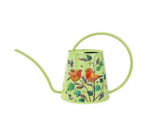 Arrosoir vert en fer avec motif oiseau et baies, bec long, outil de jardin durable, finition autocollante - Product Image 1