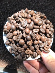 เมล็ดกาแฟอาราบิก้าคั่วกลาง ราคา 300-400 ดอลลาร์สหรัฐ/ตัน สำหรับชงเอสเพรสโซ กาแฟอาราบิก้าขายส่ง ขั้นต่ำ 10 ตัน คุณภาพระดับคาเฟ่ - Product Image 4