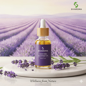 Huile Essentielle de Lavande Pure en Gros, Meilleure Vente, pour Tous Types de Peau, Beauté et Soins de la Peau - Product Image 4