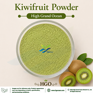 Poudre de kiwi (qualité alimentaire) HGO Factory Direct Supply, séchée par pulvérisation ou lyophilisée - Product Image 1