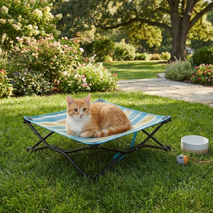 Lit pour animaux de compagnie pour chiens de taille moyenne et grande, lit pour chien pliable et portable, pas d'assemblage nécessaire, support en acier robuste - Product Image 1