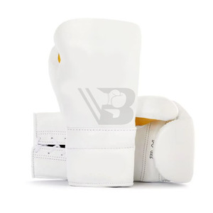 Fully Customized Lightweight Durable Shock-Absorbing Non-Slip High Quality OEM ODM Boxing Gloves & <b>Focus</b> <b>Pads</b> Sets - Product Image 6