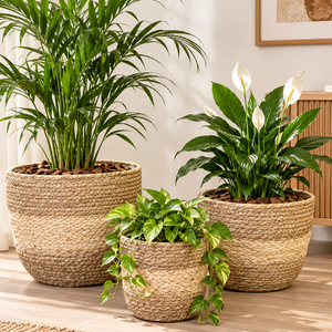 Juego de Macetas de Mimbre Tejido Ecológico y Duradero con Forro, Cesta para Plantas de Hierba Natural, Estilo Rústico, Maceta para Interiores - Product Image 1
