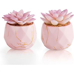 Piante Succulente Artificiali Carine con 2 Vasi in Ceramica Rosa per Decorazione Ufficio, Bagno, Cucina, Camera da Letto, Vanità - Product Image 1