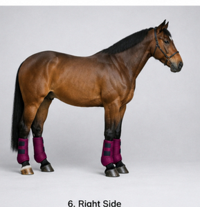 Nouvelles Bottes d'Équitation Tendance en Néoprène, Absorbant les Chocs, Respirantes, Durables, Protection des Jambes de Cheval, Service OEM - Product Image 5