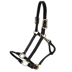 Cabestro de Cuero Genuino Premium para Caballo con Acolchado Suave, Ajustable y Duradero para Doma Clásica, Entrenamiento y Uso Diario - Product Image 1