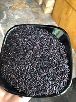 Riz Jasmin à Grains Longs Non-OGM du Vietnam, Qualité Export, Vente en Gros, OEM, Marque Privée