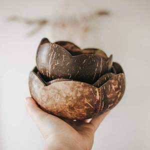 Venta al por mayor directa de fábrica: Cuencos de coco natural a granel, vajilla ecológica sin residuos, cuencos orgánicos con logo personalizado para marcas. - Product Image 2