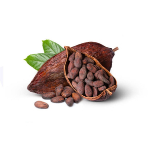 Fèves de cacao en gros, qualité supérieure, approvisionnement en vrac, stock disponible, distribution mondiale - Product Image 2