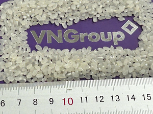 Substitut de riz shiratake naturel, végétalien, sans gluten, faible en glucides, vente en gros, prix d'usine, livraison rapide - Product Image 2