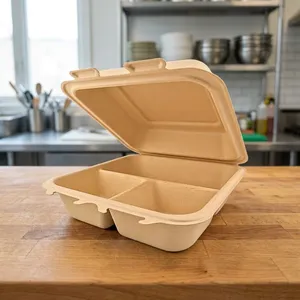 Contenedor de Alimentos Desechable Ecológico y Biodegradable Oceanic Global Premium, Moldeado en Pulpa, 8x8, 3CP, Tipo Concha, para Servicio - Product Image 4