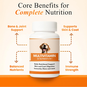 Complément alimentaire pour animaux de compagnie OEM ODM : Friandises multivitaminées biologiques pour chiens et chats – Soutien quotidien pour le bien-être, l'immunité, la digestion, les articulations, la peau et le pelage - Product Image 2