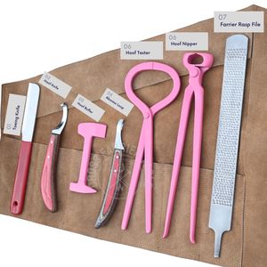 Kit Profesional de Herrador con Raspador de Pezuñas, Cuchillo para Abcesos, Cuchillo Recto para Pezuñas, Probador de Pezuñas, Pulidor y Cortaúñas - Product Image 3