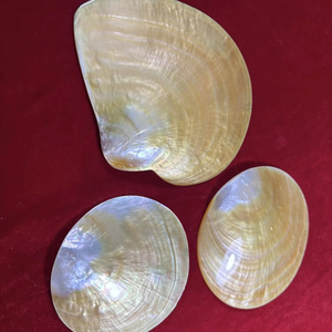 Handmade Mother of Pearl Plate Vietnam Shell Material for Jewelry Holder Serving Decor Table Use Polished Style - Product Image 1