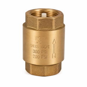 Vanne de retenue verticale en bronze de 1/2 pouce, extrémités filetées BSP femelle, conception à ressort en acier inoxydable et joint torique en caoutchouc synthétique - Product Image 1