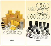 Pièces de moteur : Bloc-cylindres, culasse, vilebrequin, arbre à cames, kit de chemises de cylindre, piston, bielle, conformes à la norme ISO TS16949 pour excavatrice