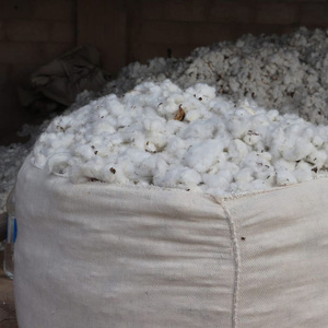 Compradores de Fibra de Algodón Crudo - Fabricantes, Importadores, Distribuidores y Mayoristas de Algodón Crudo - Product Image 2