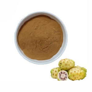 Extracto de Noni en Polvo 100% Puro, Soluble en Agua, 10:1, Grado Alimenticio, Extracto Natural de Fruta de Morinda Citrifolia para Bebidas y Smoothies - Product Image 1