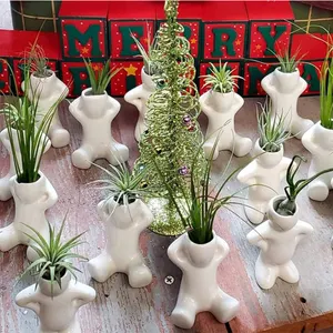 Gốm Dễ Thương Người Đơn Giản Air Plant Holders Đối Với Trang Trí Văn Phòng