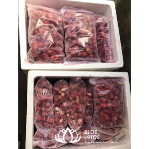 สินค้าขายดี |   สตรอว์เบอร์รีอบแห้งแบบแช่แข็ง หั่นเป็นชิ้น ผลไม้ทั้งลูก สำหรับทำขนมหวาน เครื่องดื่ม จากบลูโลตัส - Product Image 4