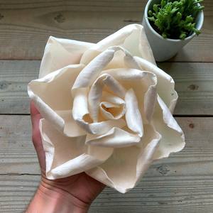 Flor de Sola Rosa Marfil, Flores de Madera de Sola de 8-8.5 CM, Varilla de Fibra Vegetal de Sesbania, Aromaterapia Hecha a Mano - Product Image 3