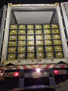 Best-Selling Grade Healthy Pure Dried Mango Natural Sour Taste Bulk Packaging and <b>Preserved</b> with Syrup Ad-Dried <b>Fruits</b> - Product Image 5