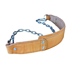 เข็มขัดดิปฟิตเนสพร้อมโลโก้แบบกำหนดเอง พร้อมสายรัดพยุงหลัง เข็มขัดดิปแบบปรับได้สำหรับการสควอทแบบถ่วงน้ำหนัก ดึงข้อ และการฝึกความแข็งแรง - Product Image 4