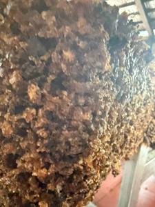 Vietnam's Baiyue High Quality SVR 5 Natural <b>Rubber</b> Flame Retardant High Temperature Resistance Excellent Molding <b>Raw</b> <b>Material</b> - Product Image 2