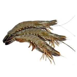 Crevettes surgelées en gros, fruits de mer frais et naturels, avec méthode de congélation rapide assurant une fraîcheur maximale - Product Image 6