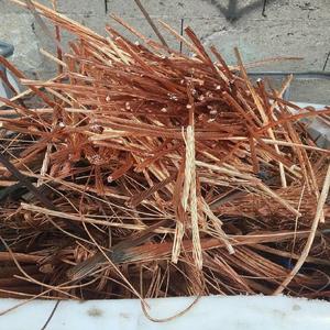 Chatarra de Alambre de Cobre de Alta Calidad, 99.99% de Pureza, con Servicio de Soldadura Disponible, Precio Económico al por Mayor, Lista para Envío Inmediato - Product Image 1