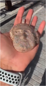 Colgante de Cadena Personalizado con Moissanita de Corte Brillante, Diamantes Engastados, Plata 925, Chapado en Oro, Estilo Hip Hop, Colgantes y Dijes Unisex - Product Image 6