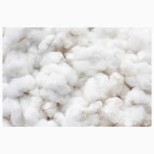 Mejor Precio, 100% Algodón Orgánico Puro, Disponible al por Mayor, Algodón Crudo en Stock, Entrega Rápida, Compre a Precio Económico, en Venta - Product Image 6