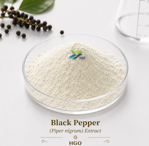HGO Suministro Directo de Fábrica de Pimienta Negra Natural Pura (Piper nigrum) Extracto (Grado Alimenticio) Piperina 15% (Extracto Estandarizado) - Product Image 1