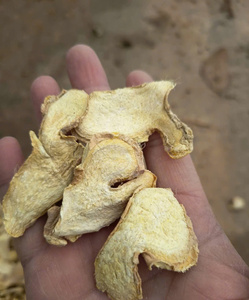 Jengibre Seco Natural de Alta Calidad, Grado A1, Estándar de Exportación, Raíz de Jengibre Frita, Sin OMG, Certificado Orgánico, Vietnam - Product Image 3