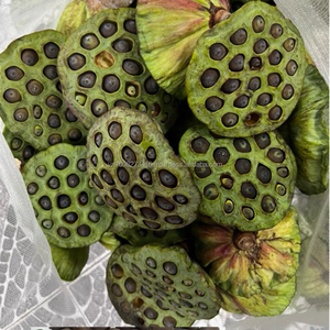 Graines de lotus noires séchées du Vietnam pour desserts, soupes, tisanes et transformation alimentaire, en vrac, à prix compétitif. - Product Image 1