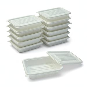 Cornstarch Disposable Food <b>Container</b> 3 4 5 Compartment Lunch Box with Lid Custom Printed <b>Takeaway</b> Packaging - Product Image 1