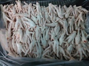 ขาไก่ปี 2026 / ตีนไก่แช่แข็งบราซิล / ปีกไก่สดและขาไก่พร้อมส่งออก ราคาดีที่สุดในสต็อก ราคาถูก - Product Image 2