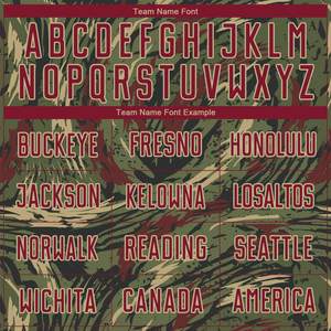 Conjunto de Uniforme de Fútbol Personalizado para Hombre, Chaquetas y Pantalones Deportivos Transpirables con Impresión de Logotipo del Equipo, Servicio OEM - Product Image 4